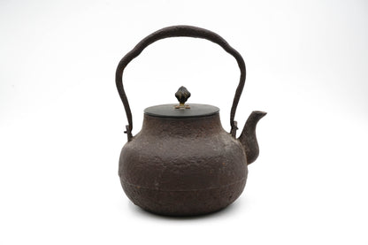 "Takichi Kanamori Crane-shaped iron kettle"