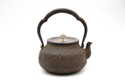 龙文堂仿　荒肌平丸铁壶