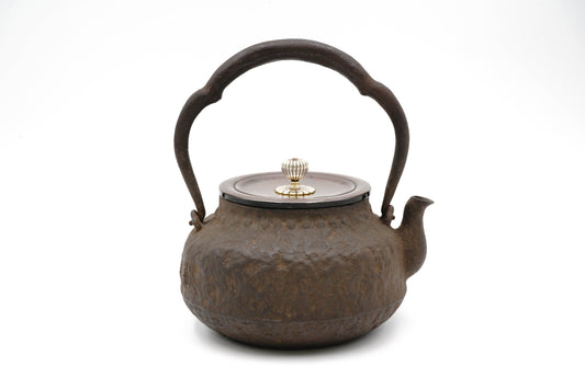 Ginshodo Ryubundou utsushi Arahada HIramaru tetsubin