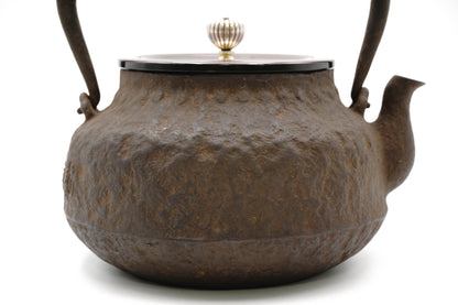 龙文堂仿　荒肌平丸铁壶