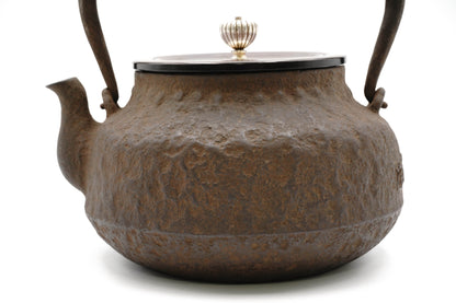 龙文堂仿　荒肌平丸铁壶