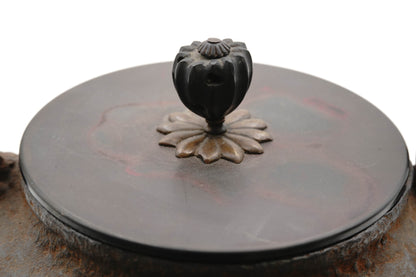 "Hannya Kankei"" Iron kettle with jujube-shaped feathers"