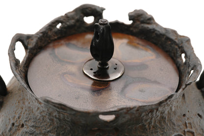 银祥堂 蜡模 宝袋 宝多多纹铁壶