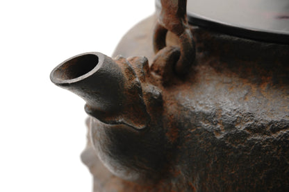 "Hannya Kankei"" Iron kettle with jujube-shaped feathers"