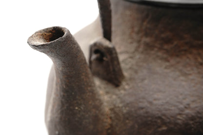"Takichi Kanamori Crane-shaped iron kettle"