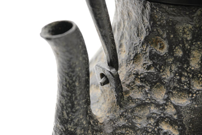 Ryubundo copy Tsurukubi autumn grass gold and silver inlaid iron kettle（Top quality)