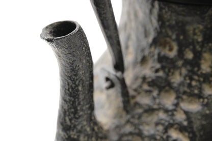 Ryubundo copy Tsurukubi autumn grass gold and silver inlaid iron kettle（Top quality)