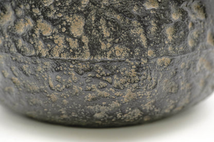 Ryubundo copy Tsurukubi autumn grass gold and silver inlaid iron kettle（Top quality)