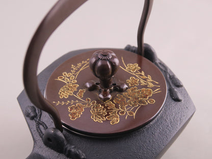 小鉄瓶　瓢形 秋草 金蒔絵