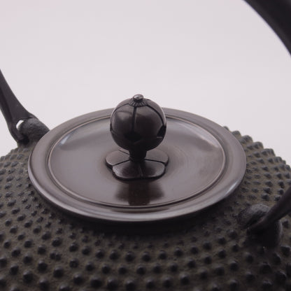 86 HIRAMARU  KOARARE