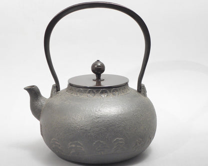 T28 平丸 富士山