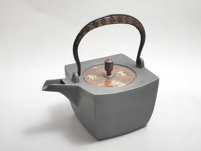 小鉄瓶　四方 D-1扇面 弦 黒雷門（赤雷門）