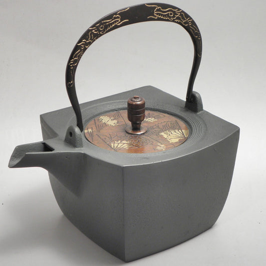 小鉄瓶　四方 D-1扇面 弦 黒龍（赤龍）