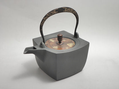 小鉄瓶　四方 D-1扇面 弦 黒龍（赤龍）