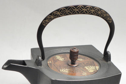 小鉄瓶 四方 D-1扇面 弦 黒七宝 (赤七宝）